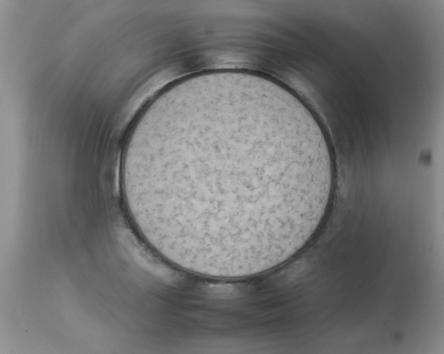 X0000112851227200909181728