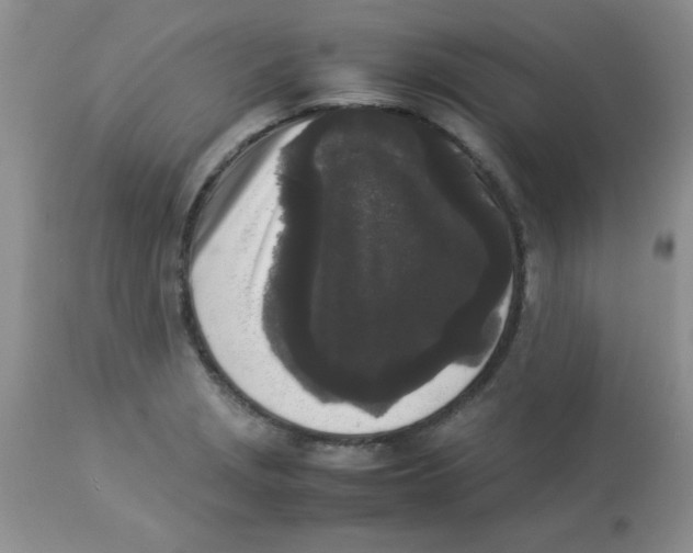 X0000112851229200909181728