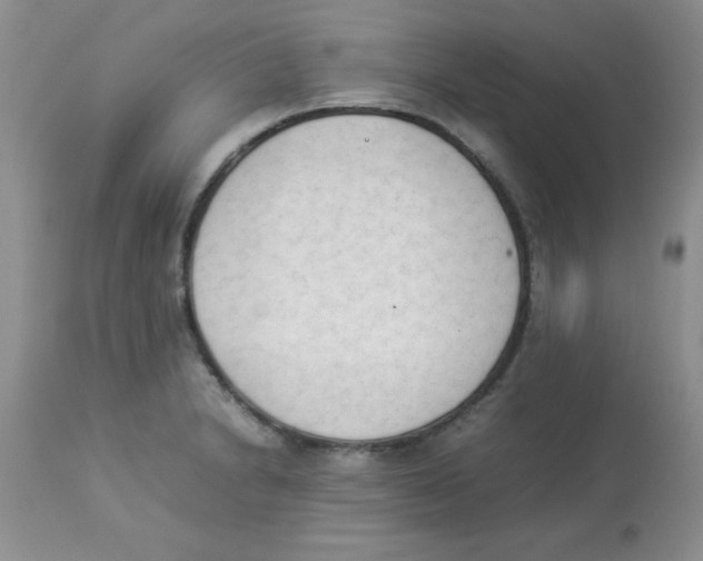 X0000112851230200909181728