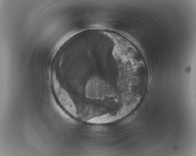 X0000112851239200909181728