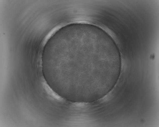 X0000112851240200909181728