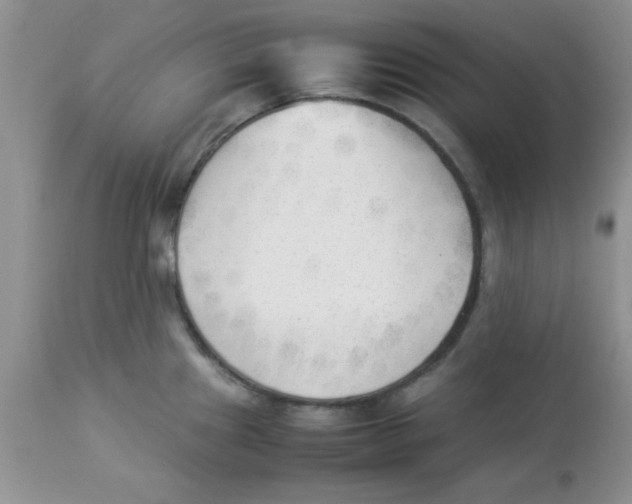 X0000112851241200909181728