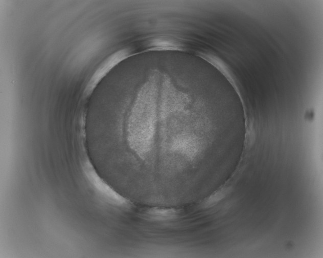 X0000112851243200909181728