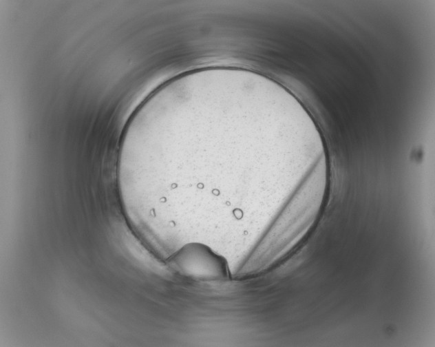 X0000112851244200909181728