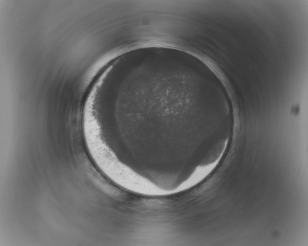 X0000112851246200909181728