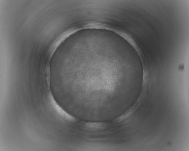 X0000112851247200909181728