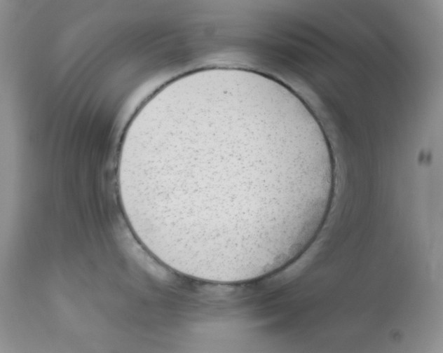 X0000112851248200909181728