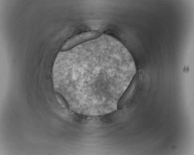 X0000112851249200909181727