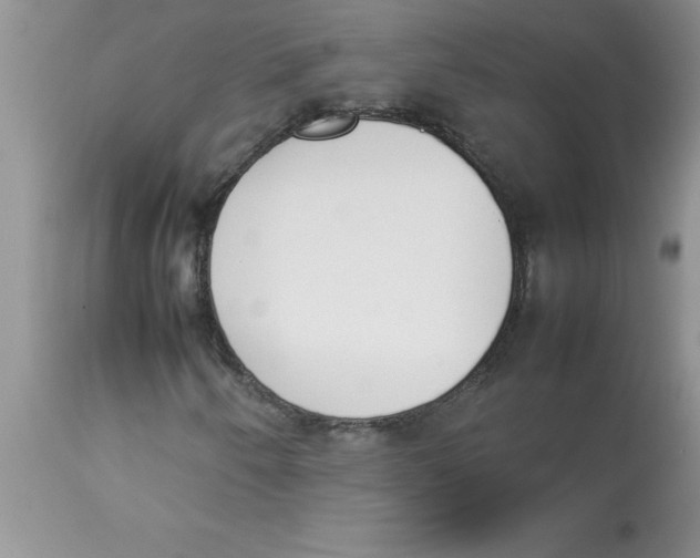 X0000112851250200909181727