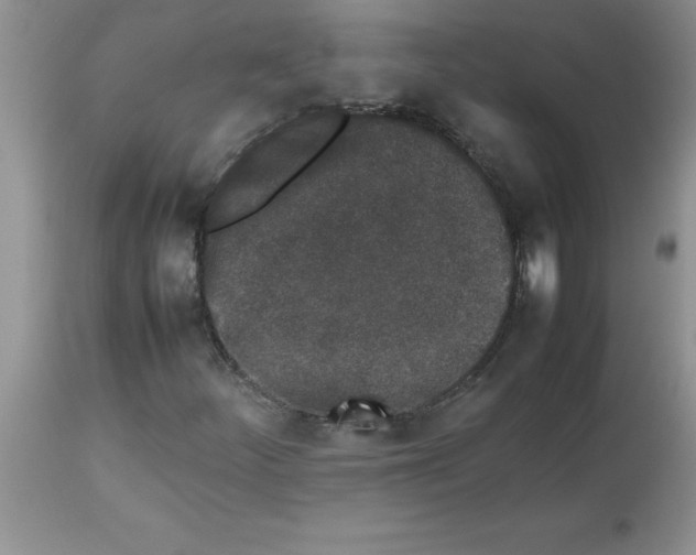 X0000112851252200909181727