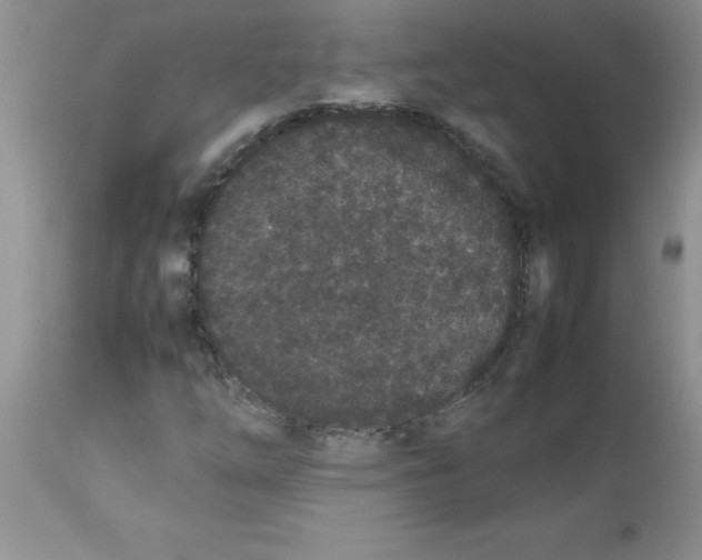 X0000112851254200909181727