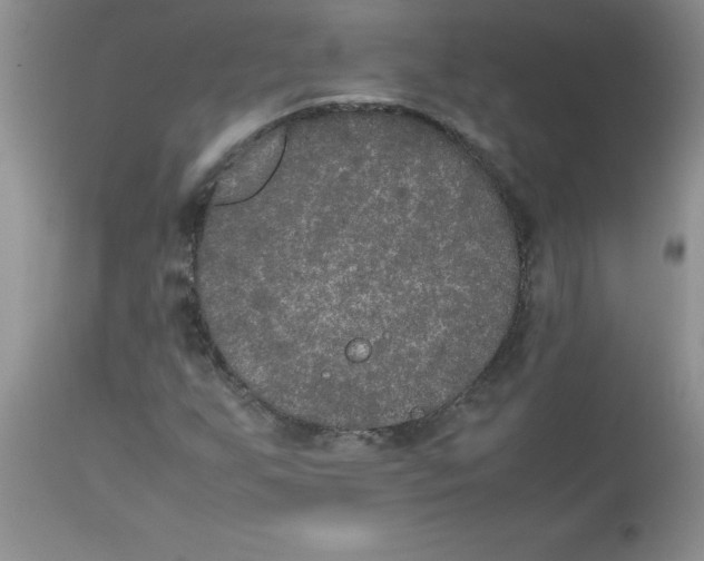 X0000112851255200909181727