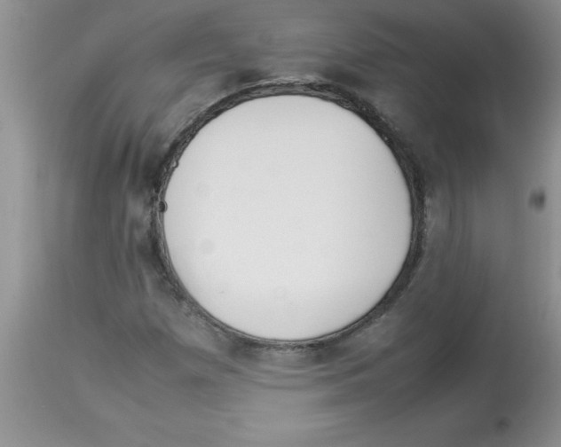 X0000112851257200909181727