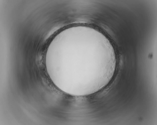 X0000112851258200909181727