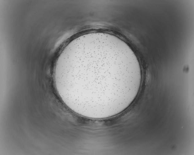 X0000112851261200909181727