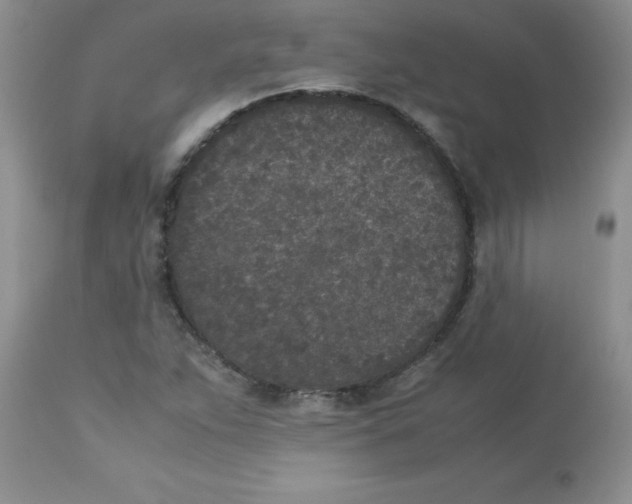 X0000112851263200909181727