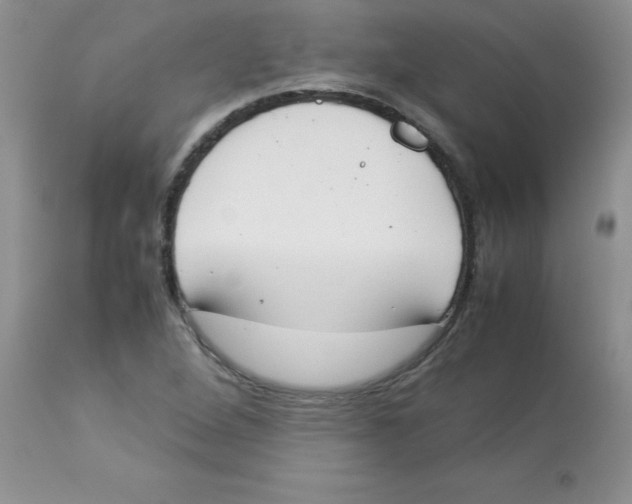 X0000112851264200909181727