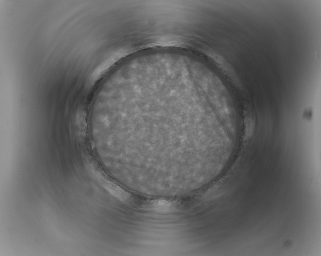 X0000112851266200909181727