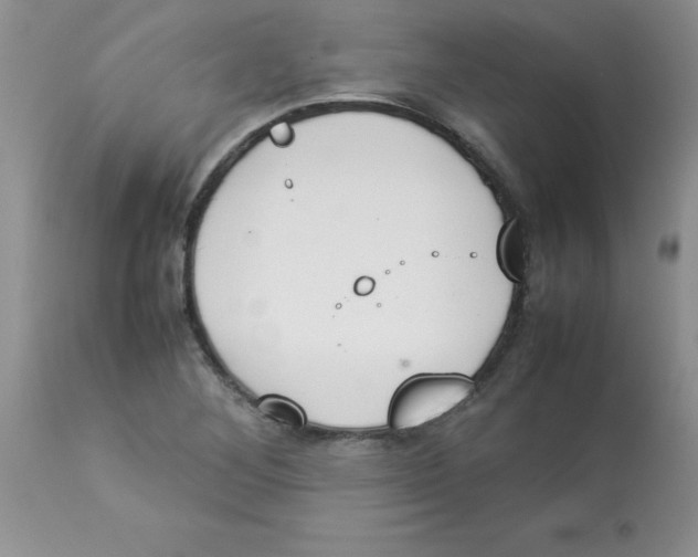 X0000112851268200909181727