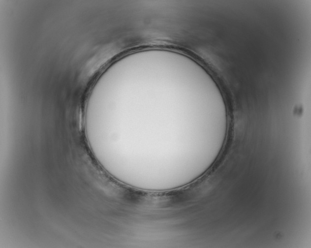 X0000112851269200909181727