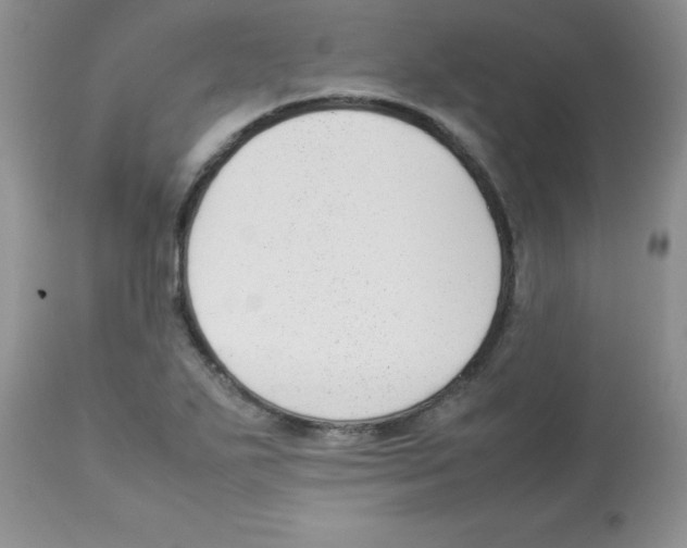 X0000112851271200909181727