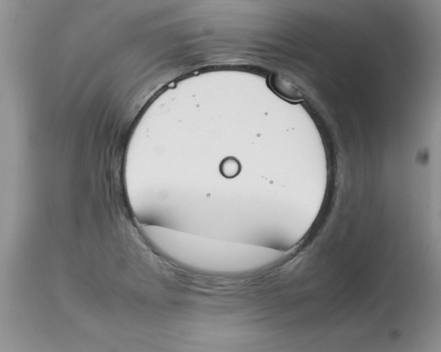 X0000112851273200909181727