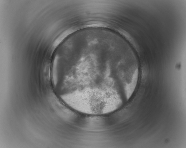 X0000112851274200909181727