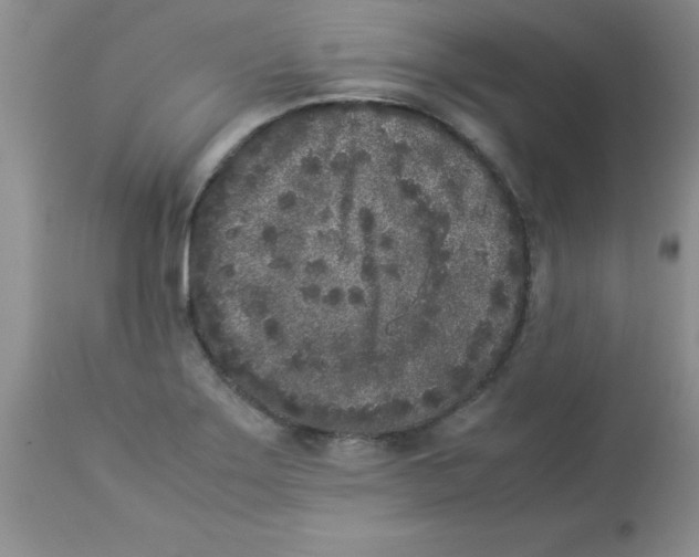 X0000112851275200909181727