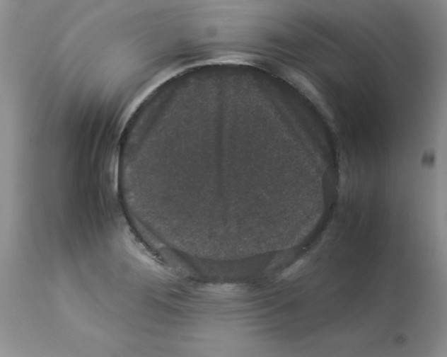 X0000112851276200909181727