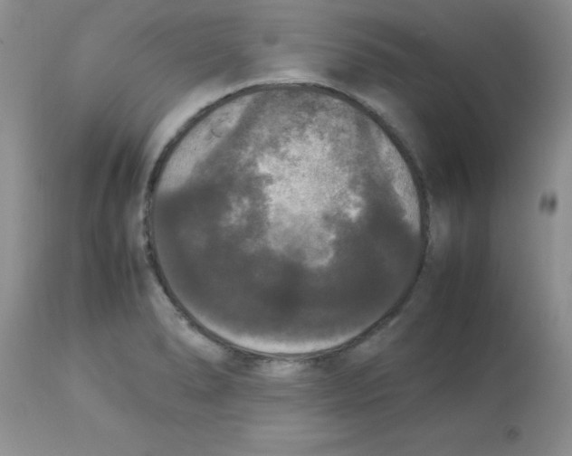 X0000112851278200909181727