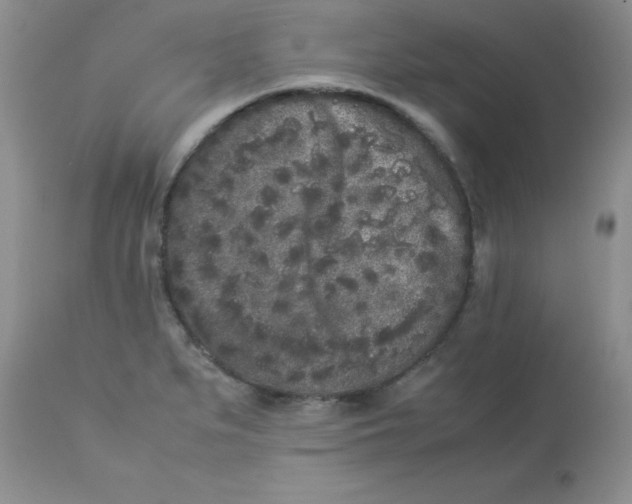 X0000112851279200909181727