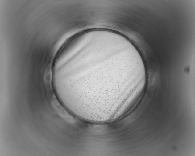 X0000112851280200909181727