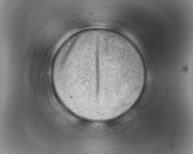 X0000112851283200909181727