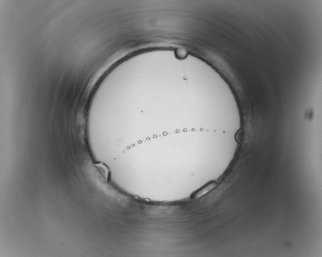 X0000112851284200909181727