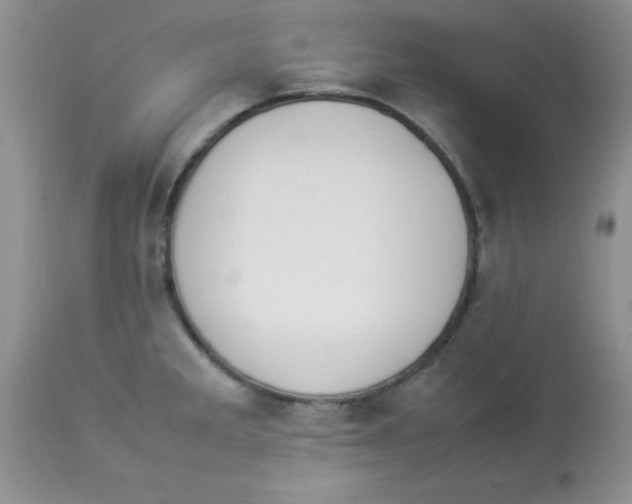 X0000112851285200909181727