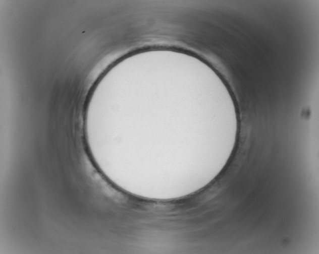 X0000112851287200909181727