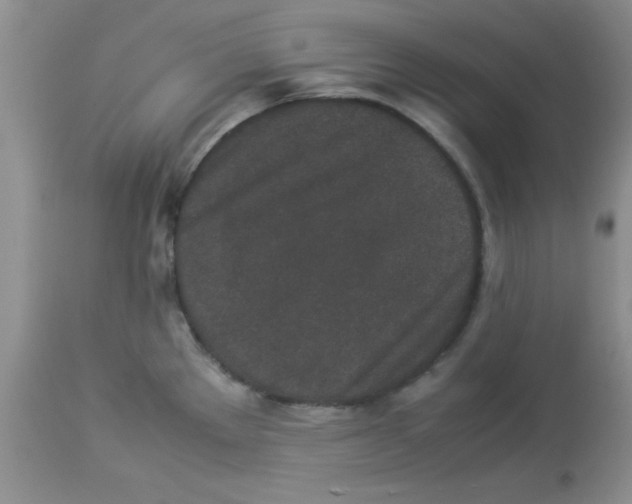 X0000112851289200909181727