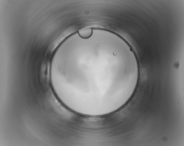 X0000112851290200909181727