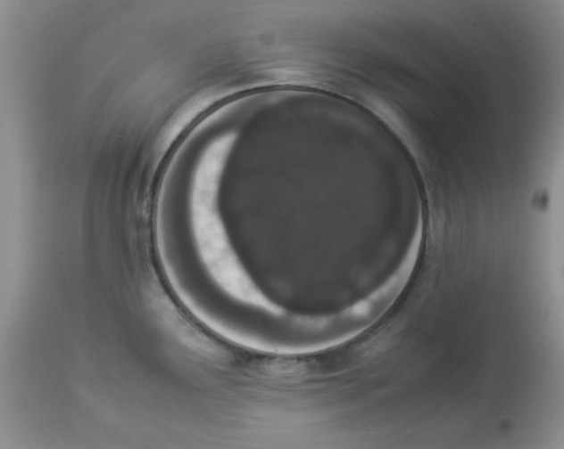 X0000112851291200909181727