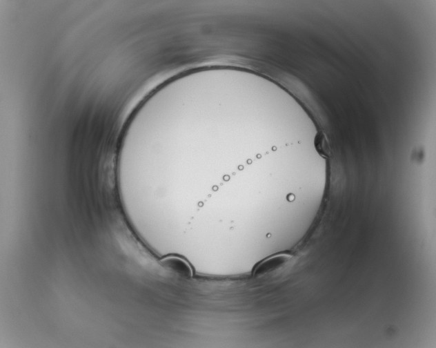 X0000112851292200909181727