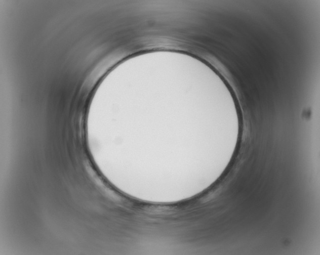 X0000112851293200909181727