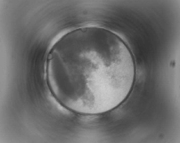 X0000112851294200909181727