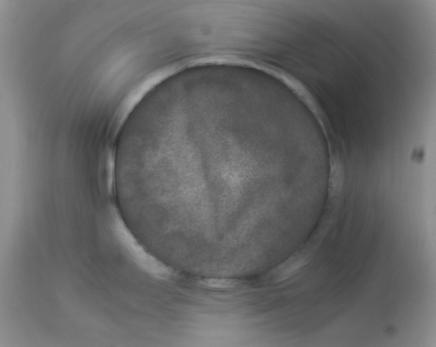 X0000112851295200909181727