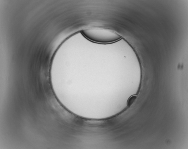 X0000112851296200909181727