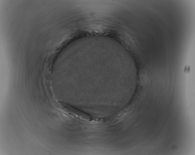 X0000112851297200909181726