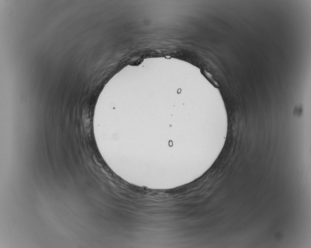 X0000112851298200909181726