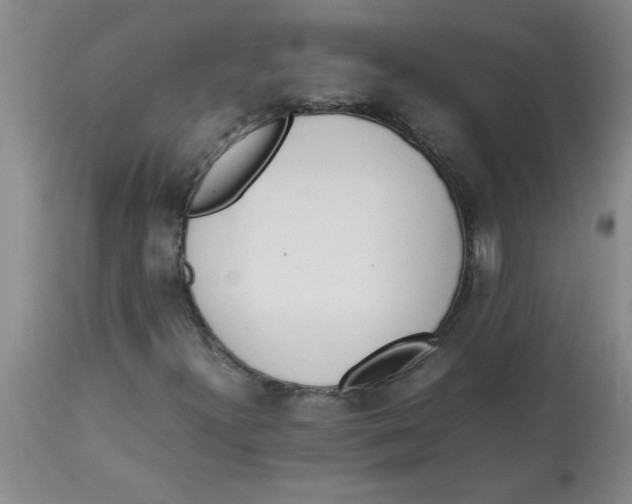 X0000112851300200909181726