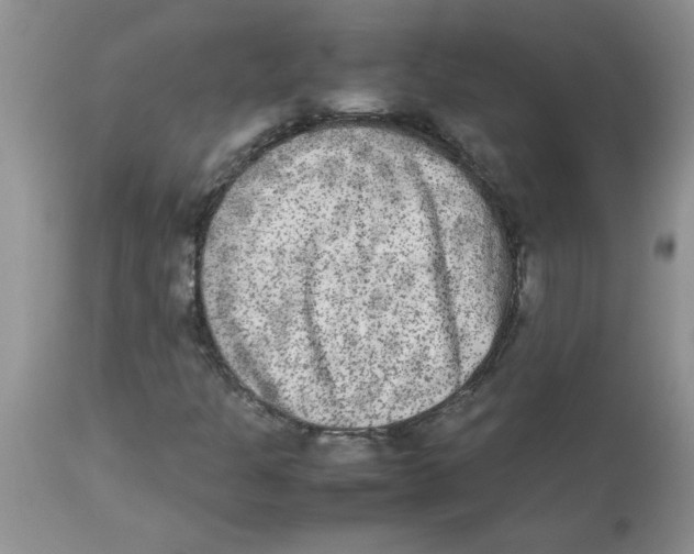 X0000112851301200909181726