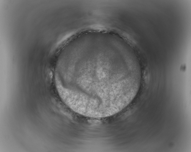 X0000112851302200909181726