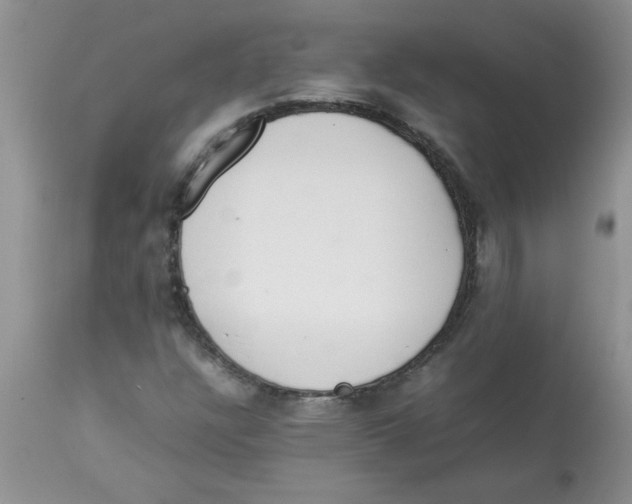 X0000112851304200909181726